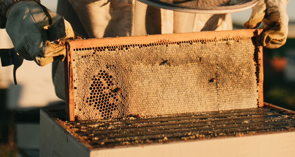 Paraffin Wax - 25kg - Beekeeping Supplies NZ