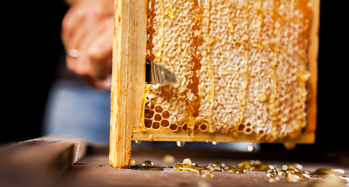 extraction-comb-honey-290x155-px.png