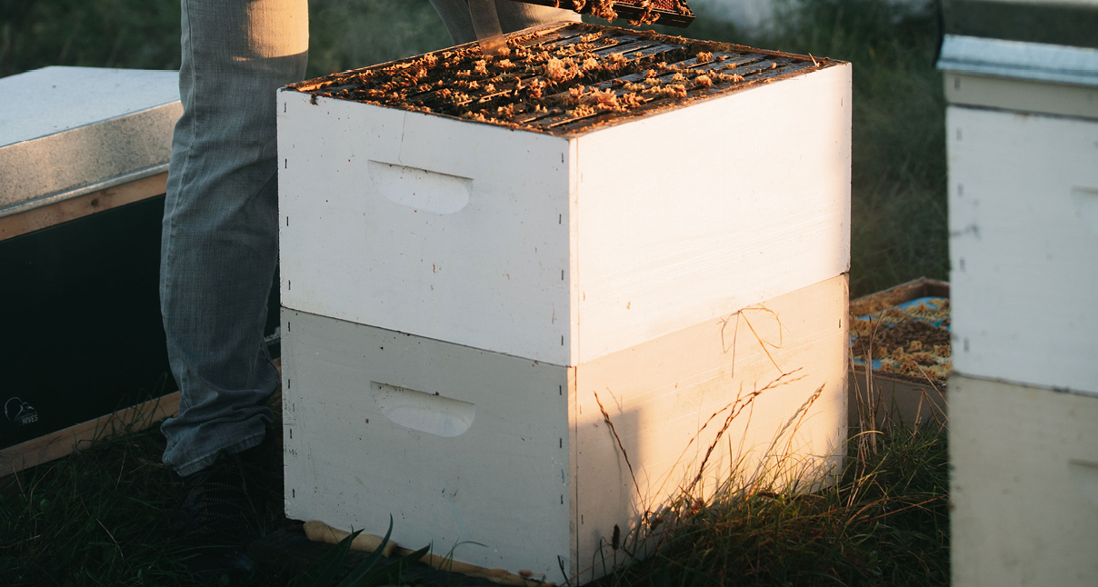 hive-components-supers-290x155-px.png