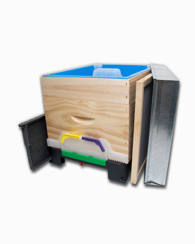 Hive Defender Untreated Full Depth Starter Hive with Top Feeder | Ceracell