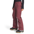 The North Face Freedom Insulated Pant - Women's - Wild Ginger