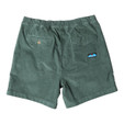 KAVU Take Ten Short - Men's - Dark Forest - back