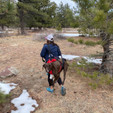 Fido Pro The Panza 4-in-1 Trail Harness - Red - in use