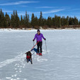 Fido Pro Remi Runner Leash - in use