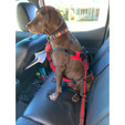 Fido Pro Dog Seat Belt - in use