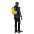 Osprey Daylite Plus - Dazzle Yellow / Venturi Blue - on model