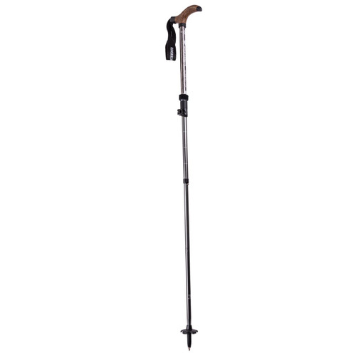 Mountainsmith Globetrotter Trekking Pole - Graphite