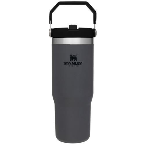 Stanley 30 oz Tumbler with handle  Fancy cup, Stanley water bottle,  Insulated mugs