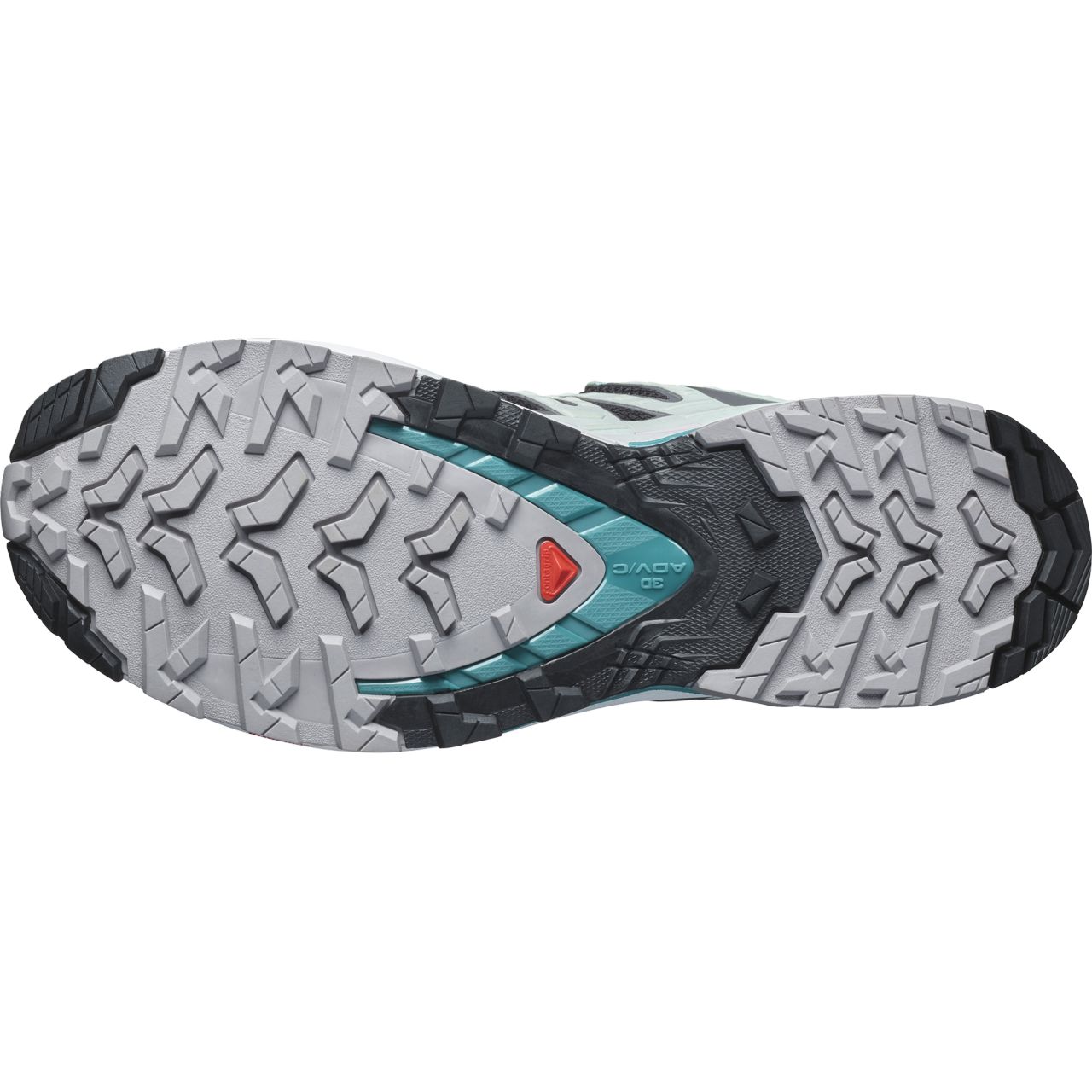 Salomon XA Pro 3D V8 GTX Women's Trail Running Shoes