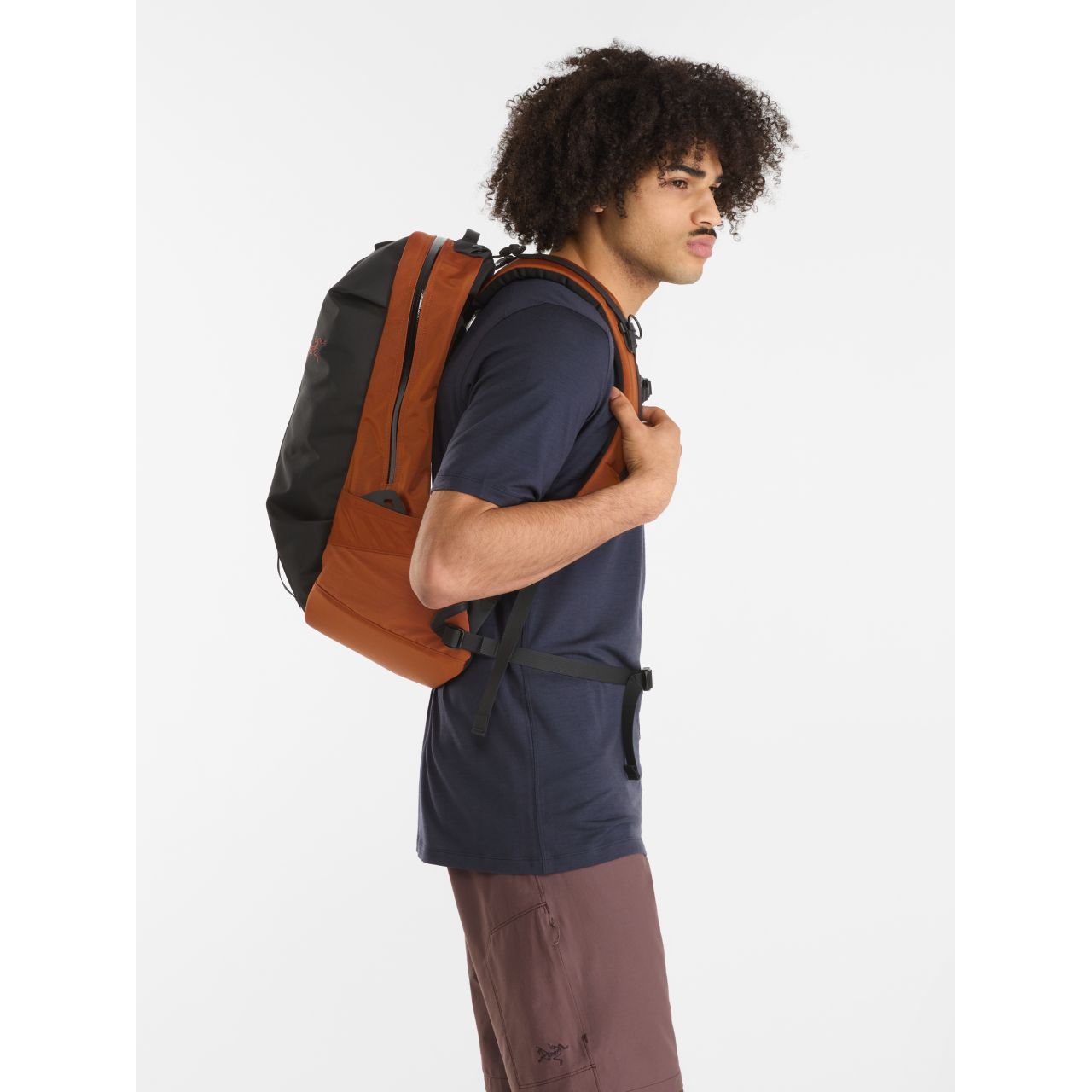 Arc'teryx Arro 22 Backpack | Daypacks | BackcountryGear.com