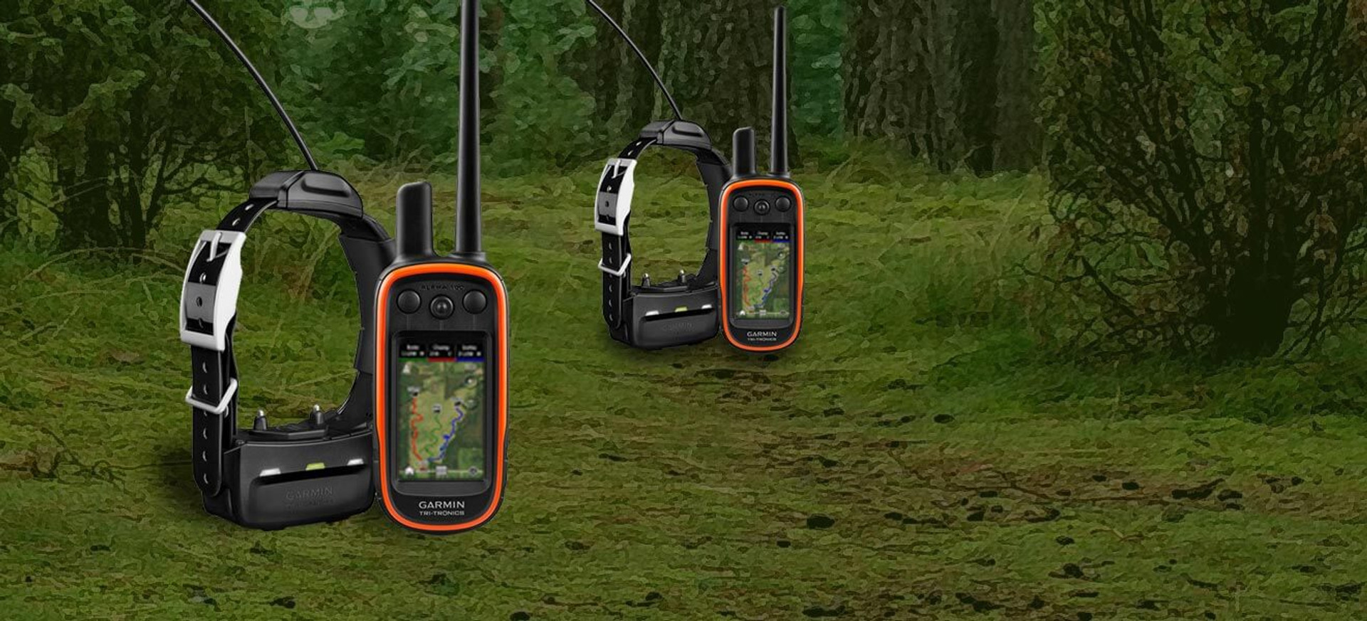 Hunting Dog Gear Wild Boar USA / Ugly Dog Ranch