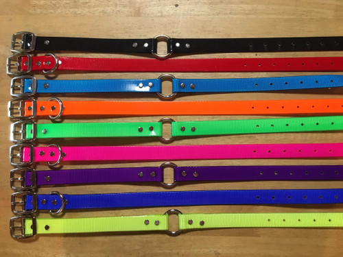 B. DAY GLO COLLAR STAINLESS.1