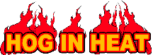 hoginheatlogo1.gif