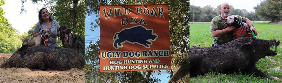 STAINLESS CHAIN/NYLON LEAD - Wild Boar USA/Ugly Dog Ranch