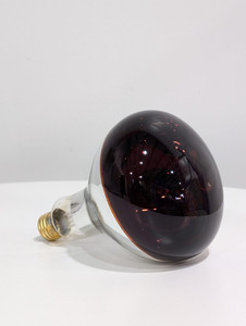 100W heatlamp bulbs for 120V R125 Red