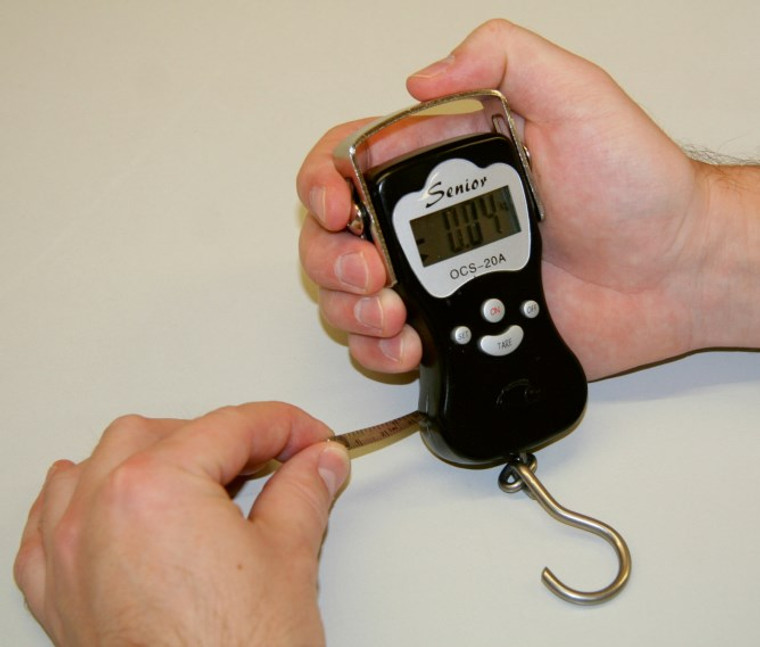 Digital Weighing Scale Up To 50 kg