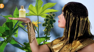 3 Powerful Castor Oil for Hair Benefits Backed by Ancient Beauty Secrets