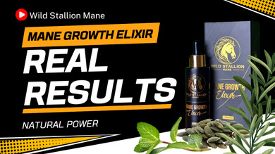 Natural Ingredients for Hair Growth: 40+ Proven Botanicals That Actually Work