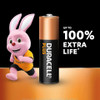 Duracell AA Plus 100% Power Alkaline Batteries. 16 Pack