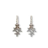 Pimelea “Rice Flower” mini earrings  - Steel & Gold