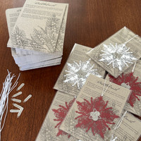 A Christmas collection of Australian Native Flora Snowflake Decorations