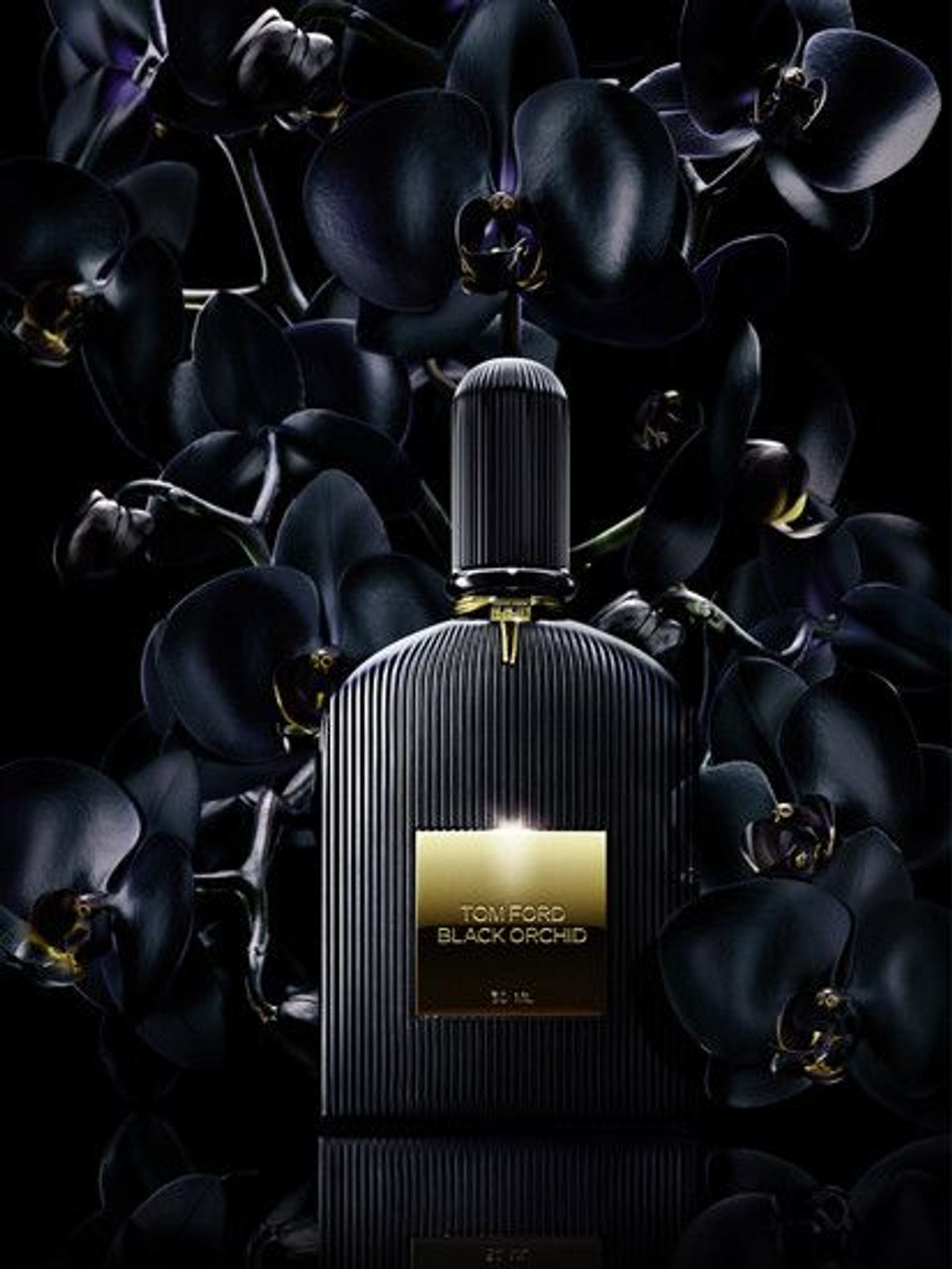 Black Orchid