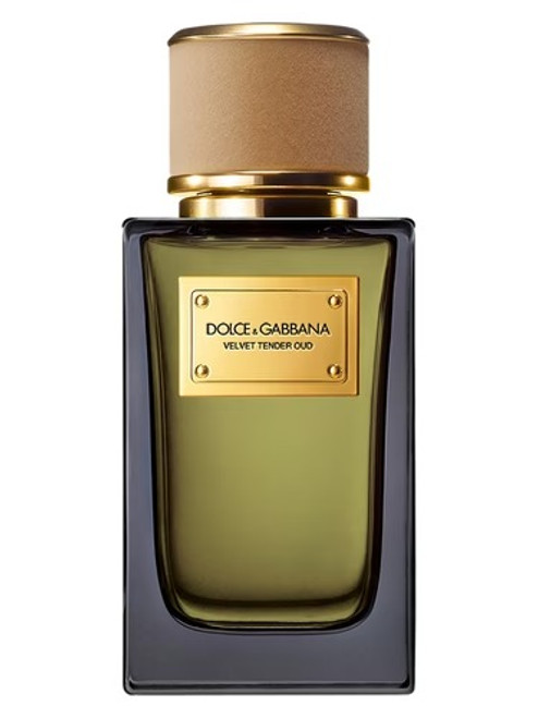 Velvet Tender Oud by Dolce&Gabbana