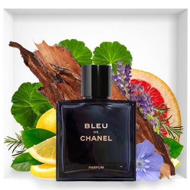 BLEU DE CHANEL PARFUM MEN TYPE