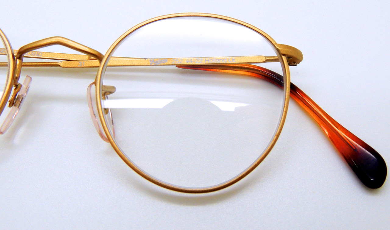 Preciosa by FrameHolland Panto Shaped Prescription Glasses Hand