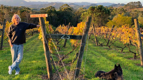 Heron's Flight Vineyard