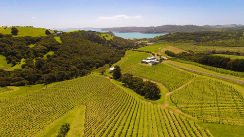 Destiny Bay Vineyards