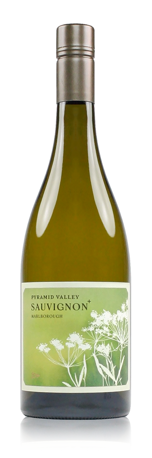 2022 Pyramid Valley Sauvignon + Marlborough New Zealand