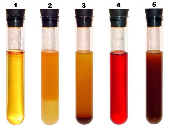 Fuel Samples Training