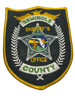 SEMINOLE  COUNTY SHERIFF FL PATCH 