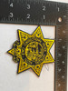 CORRECTIONAL PEACE OFFICERS ASSOC. CA STAR BADGE PATCH