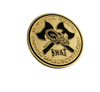 DAYTONA BEACH POLICE FL SWAT COIN