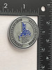 HOMELAND SECURITY NY STATE COIN