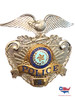 STATE OF TEXAS POLICE HAT CAP BADGE