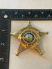 MECKLENBURG COUNTY SHERIFF CAPTAIN STAR BADGE