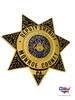 MONROE COUNTY SHERIFF PA STAR BADGE