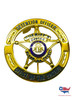 GLYNN COUNTY SHERIFF DETENTION OFFICER GA STAR BADGE