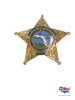 LAKE COUNTY FL DETENTION DEPUTY STAR BADGEV