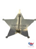 LAKE County Sheriff  DEPUTY Sheriff‘s STAR 