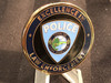 LAKE HAMILTON POLICE FL COIN