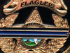 FLAGLER CTY FL SHERIFF HONOR GUARD COIN