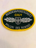 BUNDESGRENZSCHULTZ POLIZEI DES BUNDES PATCH