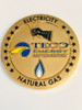 TECO FLORIDA COIN