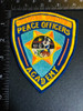 ORANGE CTY CA POLICE ACADEMY