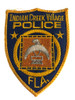 INDIAN CREEK FL POLICE PATCH SILVER