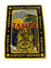 FBI TAMPA POLICE PATCH